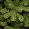 12 ft. Unlit North Valley Spruce Full Artificial Christmas Tree